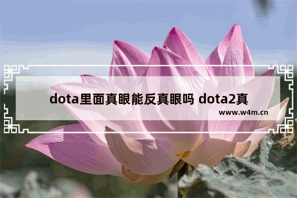 dota里面真眼能反真眼吗 dota2真假眼切换