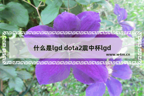 什么是lgd dota2震中杯lgd