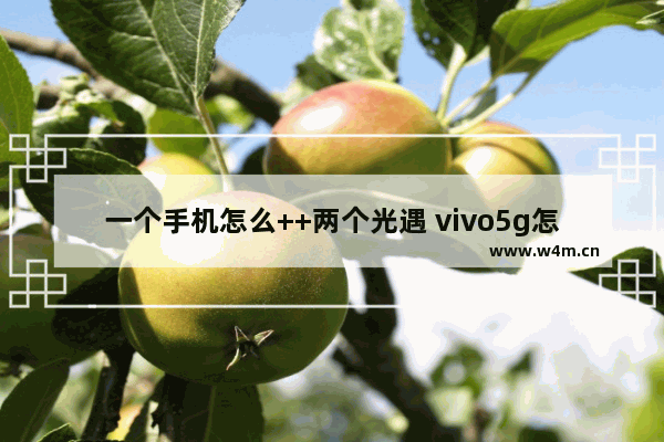 一个手机怎么++两个光遇 vivo5g怎么同时玩两个光遇