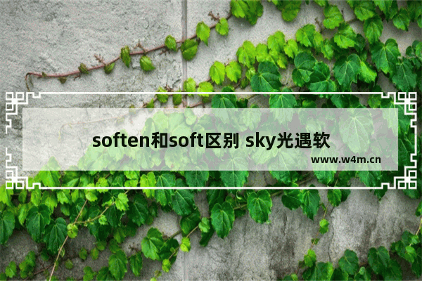 soften和soft区别 sky光遇软软