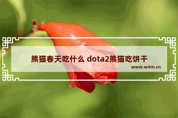 熊猫春天吃什么 dota2熊猫吃饼干