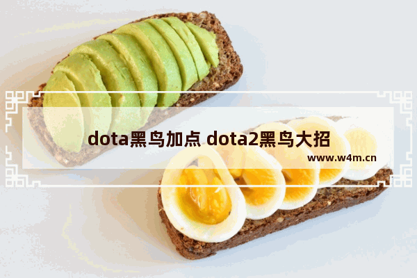 dota黑鸟加点 dota2黑鸟大招