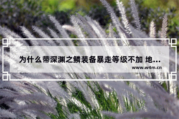 为什么带深渊之鳞装备暴走等级不加 地下城与勇士深渊不爆装备