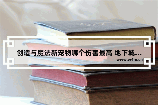 创造与魔法新宠物哪个伤害最高 地下城与勇士宠物伤害高吗