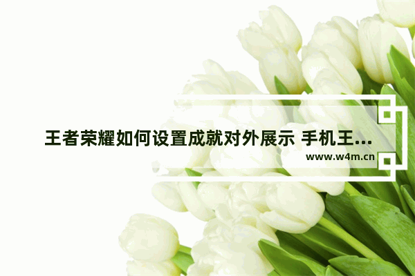 王者荣耀如何设置成就对外展示 手机王者荣耀分享一次游戏任务怎么做