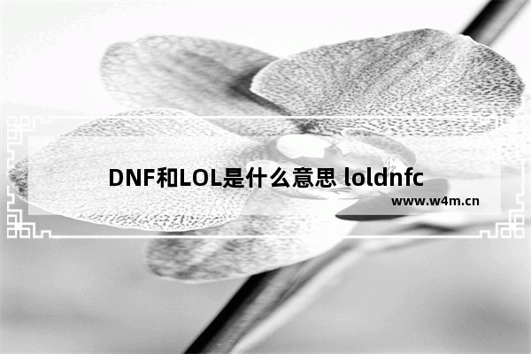 DNF和LOL是什么意思 loldnfcfwowcs什么意思