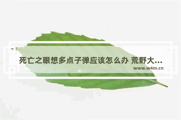 死亡之眼想多点子弹应该怎么办 荒野大镖客2三把最强枪