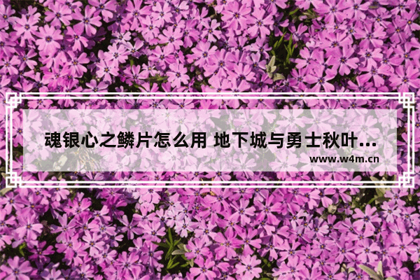 魂银心之鳞片怎么用 地下城与勇士秋叶刀的技能