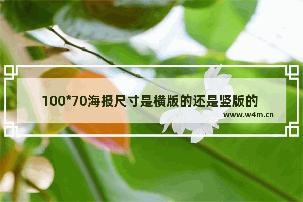 100*70海报尺寸是横版的还是竖版的 光遇横版海报