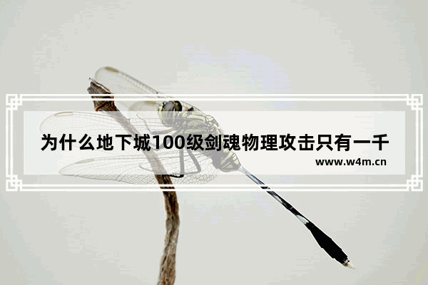 为什么地下城100级剑魂物理攻击只有一千 dnf增加伤害的药剂介绍