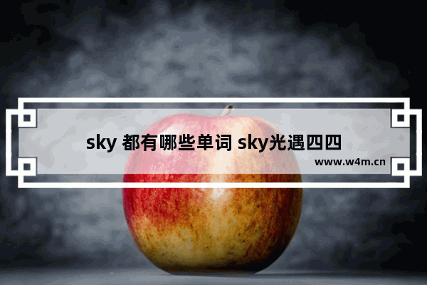 sky 都有哪些单词 sky光遇四四