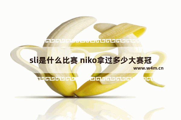 sli是什么比赛 niko拿过多少大赛冠军