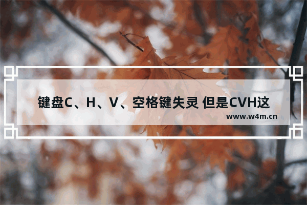 键盘C、H、V、空格键失灵 但是CVH这些键按着shift键按可以出来 物理学霸帮帮忙 那个hv的v是什么