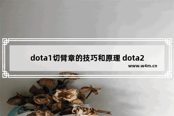 dota1切臂章的技巧和原理 dota2切出来