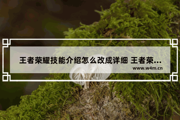 王者荣耀技能介绍怎么改成详细 王者荣耀资料修改