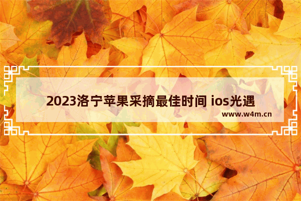 2023洛宁苹果采摘最佳时间 ios光遇洛宁