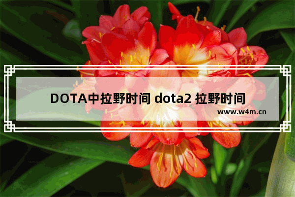 DOTA中拉野时间 dota2 拉野时间