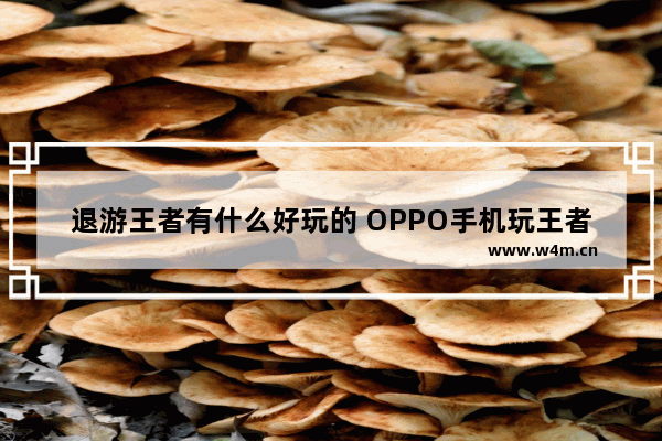 退游王者有什么好玩的 OPPO手机玩王者信号不稳定