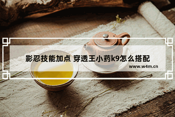 影忍技能加点 穿透王小药k9怎么搭配