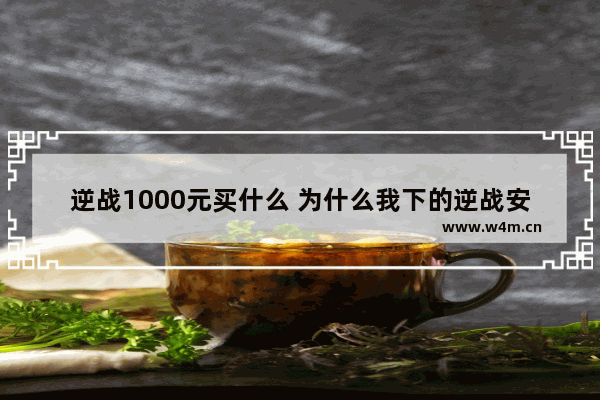 逆战1000元买什么 为什么我下的逆战安装到这儿就不行了 是内存不够吗