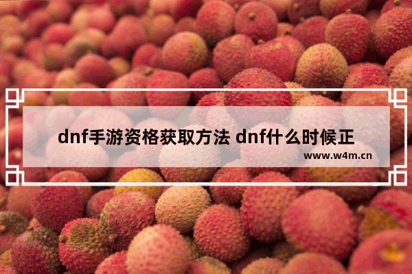 dnf手游资格获取方法 dnf什么时候正式开服的