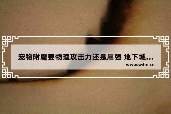 宠物附魔要物理攻击力还是属强 地下城与勇士普通宠物附魔