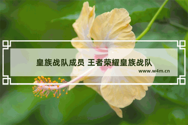 皇族战队成员 王者荣耀皇族战队