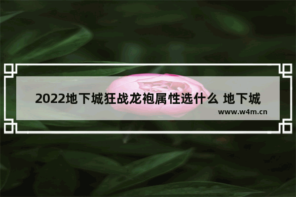 2022地下城狂战龙袍属性选什么 地下城与勇士手游龙袍服