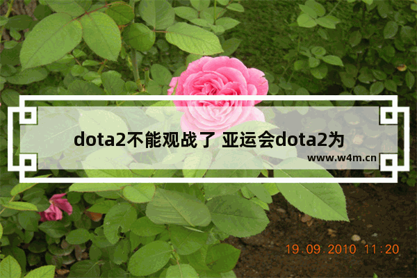 dota2不能观战了 亚运会dota2为什么看不了