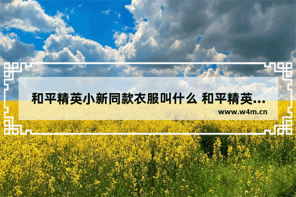 和平精英小新同款衣服叫什么 和平精英里的至尊金龙套装