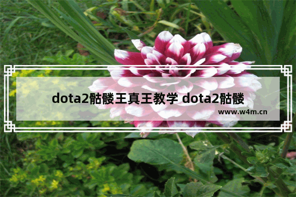 dota2骷髅王真王教学 dota2骷髅王技能介绍