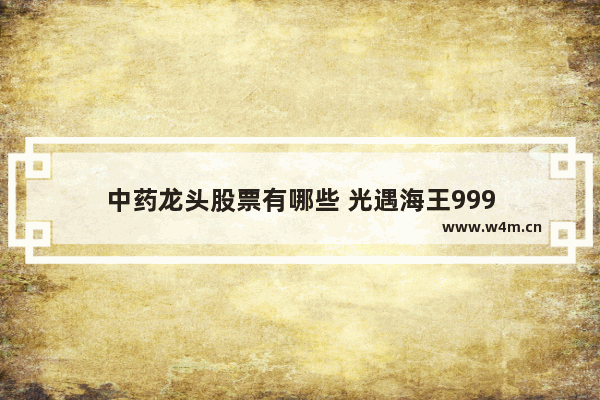 中药龙头股票有哪些 光遇海王999