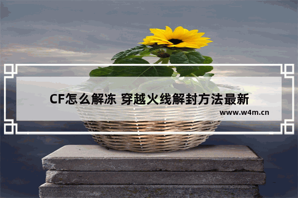 CF怎么解冻 穿越火线解封方法最新