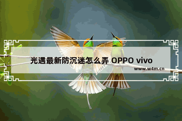 光遇最新防沉迷怎么弄 OPPO vivo手机怎么切换光遇