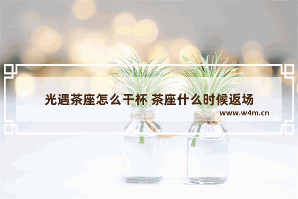 光遇茶座怎么干杯 茶座什么时候返场