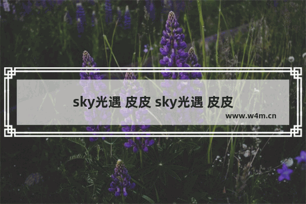 sky光遇 皮皮 sky光遇 皮皮