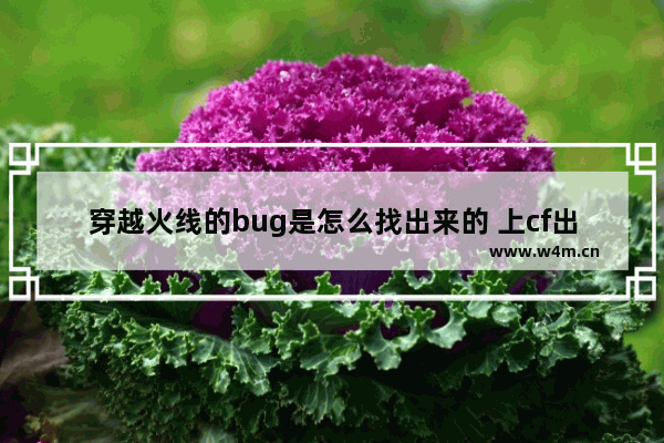 穿越火线的bug是怎么找出来的 上cf出现文件以损坏bugtrace.dll.怎么办