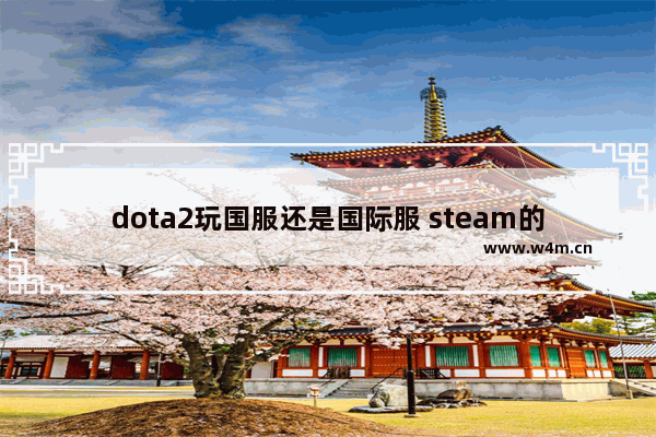 dota2玩国服还是国际服 steam的dota2和谐吗