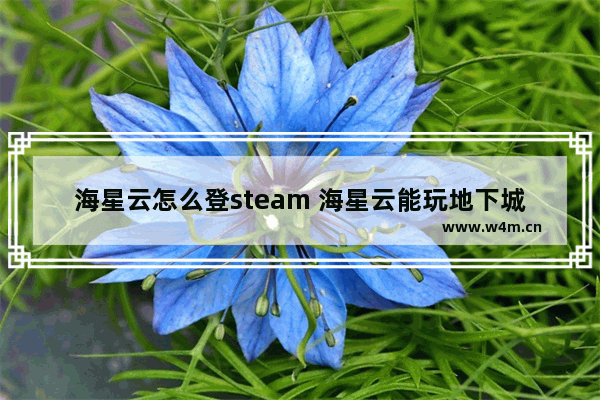 海星云怎么登steam 海星云能玩地下城与勇士吗