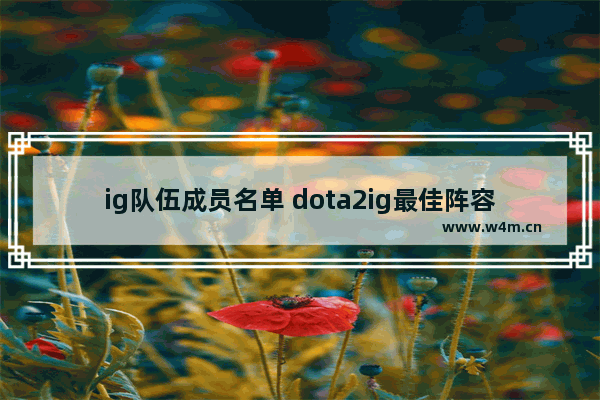 ig队伍成员名单 dota2ig最佳阵容