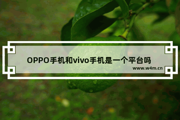 OPPO手机和vivo手机是一个平台吗 vivo光遇同行