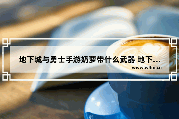 地下城与勇士手游奶萝带什么武器 地下城与勇士手游65战士带什么武器
