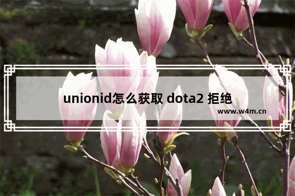 unionid怎么获取 dota2 拒绝者id