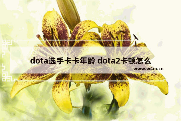 dota选手卡卡年龄 dota2卡顿怎么解决