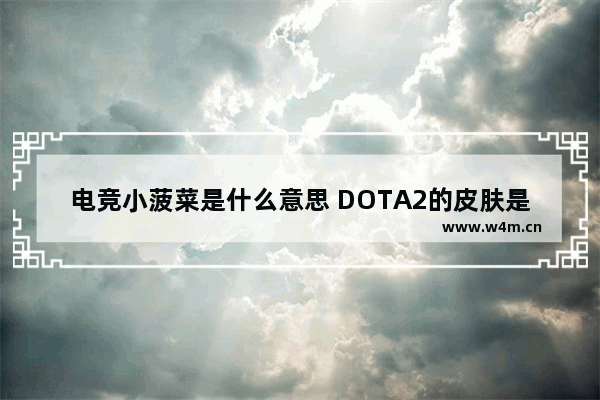 电竞小菠菜是什么意思 DOTA2的皮肤是怎么得到的