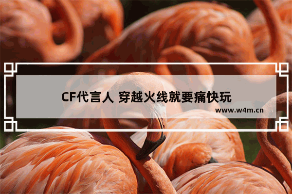 CF代言人 穿越火线就要痛快玩