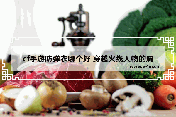 cf手游防弹衣哪个好 穿越火线人物的胸