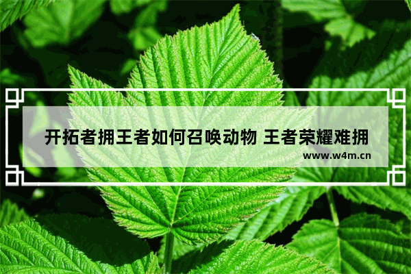 开拓者拥王者如何召唤动物 王者荣耀难拥