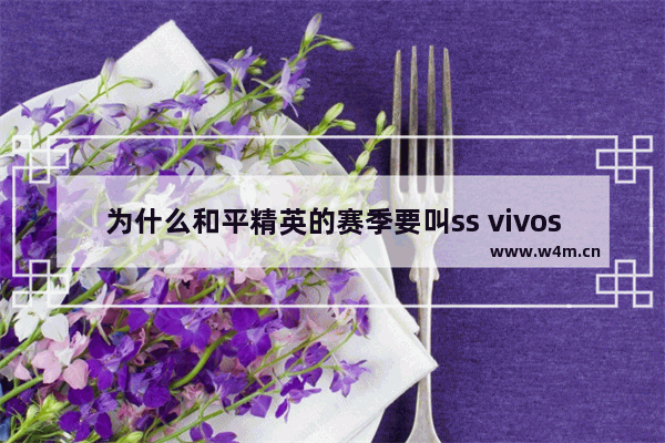 为什么和平精英的赛季要叫ss vivos9和平精英能开90帧吗