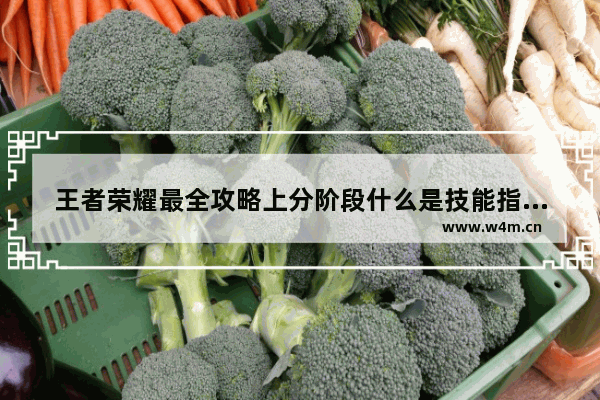 王者荣耀最全攻略上分阶段什么是技能指向全解析 王者荣耀指向技能